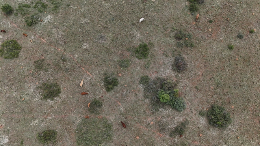 2 Bedroom Property for Sale in Klerksdorp Rural North West